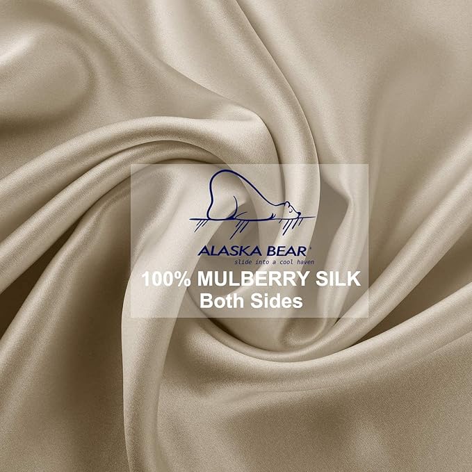 ALASKA BEAR Natural Silk Pillowcase, Hypoallergenic, 19 Momme, 600 Thread Count 100 Percent Mulberry Silk, Queen Size with Hidden Zipper (1,Champagne Gold)