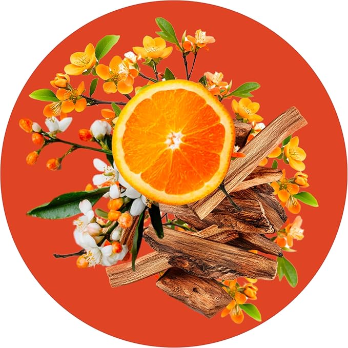 Routine Wellness Anti-Thinning Volumizing Shampoo and Conditioner Set for Thinning Hair & Hair Loss - Grow Your Confidence with Biotin & DHT Blockers - Orange Blossom & Sandalwood Set