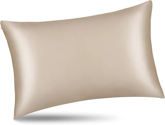 ALASKA BEAR Natural Silk Pillowcase, Hypoallergenic, 19 Momme, 600 Thread Count 100 Percent Mulberry Silk, Queen Size with Hidden Zipper (1,Champagne Gold)