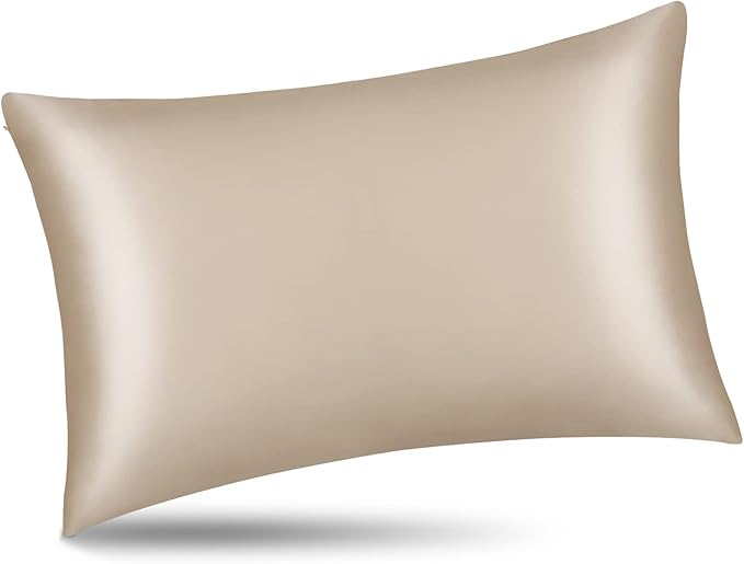ALASKA BEAR Natural Silk Pillowcase, Hypoallergenic, 19 Momme, 600 Thread Count 100 Percent Mulberry Silk, Standard Size with Hidden Zipper (1,Champagne Gold)