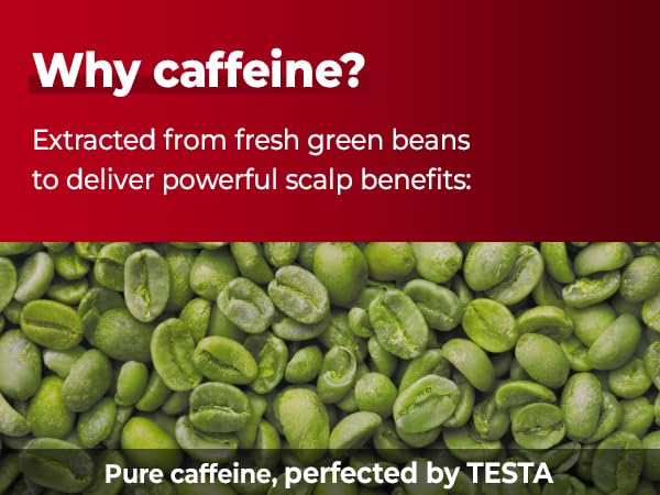 KUNDAL Korean Caffeine Scalp Shampoo [Cherry Blossom] – Sulfate-Free Hair Care with Menthol & Botanical Extracts – For Fuller-Looking Hair, Scalp Refresh & Strength – 16.9 Fl Oz, Stocking Stuffers