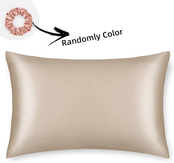 ALASKA BEAR Natural Silk Pillowcase, Hypoallergenic, 19 Momme, 600 Thread Count 100 Percent Mulberry Silk, Standard Size with Hidden Zipper (1,Champagne Gold)