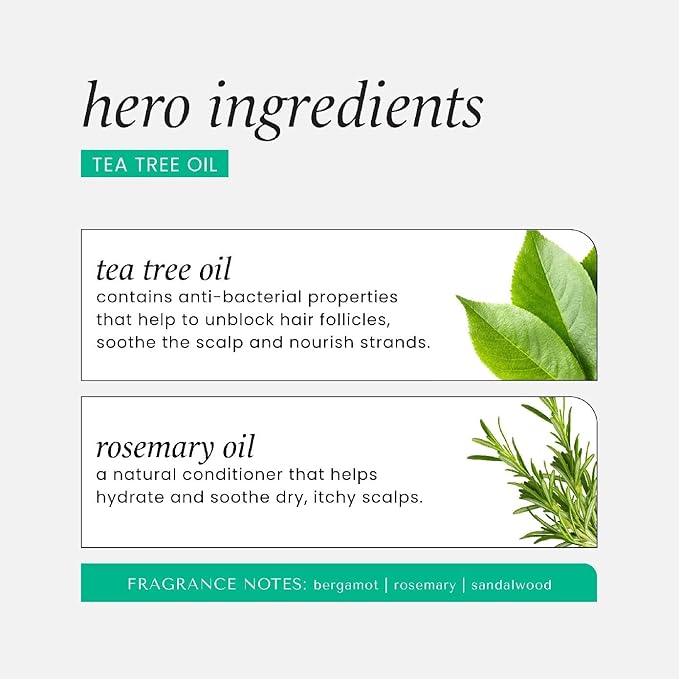 HASK Invigorating TEA TREE OIL 5-in-1 Leave In Conditioner Duo (6oz-Qty 2) & Deep Conditioner Packette, Aluminum-Free, Sulfate-Free, Paraben-Free, Color Safe, for All Hair Types