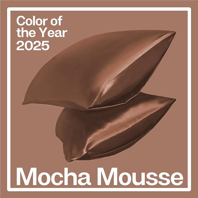 MR&HM Satin Pillowcase for Hair and Skin, Silk Satin Pillowcase 2 Pack, King Size Pillow Cases Set of 2, Silky Pillow Cover with Envelope Closure (20x40, Mocha Mousse)