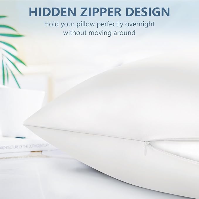 Silk Pillow Cases Queen Size 100% Mulberry Silk Pillowcase for Hair and Skin 22 Momme Both Side Grade 6A Silk Cooling Soft Breathable 20 x 30 Inches with Hidden Zipper 1PC, White