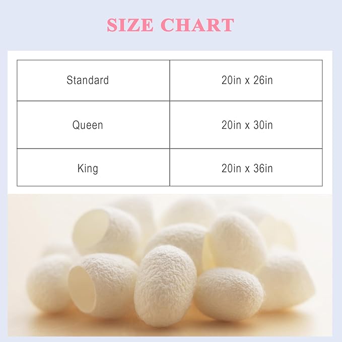 100% Pure Silk Pillowcase 2 Pack for Hair and Skin, Both Sides 23 Momme Grade 6A+ Mulberry Silk Pillowcases with Hidden Zipper, Soft&Smooth Cooling Pillow Cases (Champagne, King 20x36)