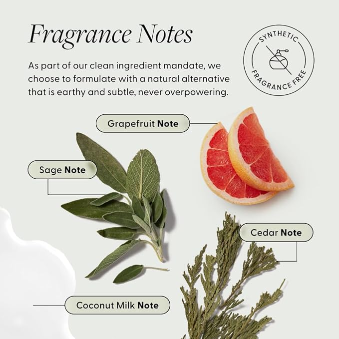 Arey Masque Deep Conditioner & Hair Mask | Deep Hydration for Medium to Coarse Hair | Reduces Breakage, Tames Frizz, Restores Softness & Shine | Shea butter, Silicone-Free, Vegan (6.76 Fl Oz)