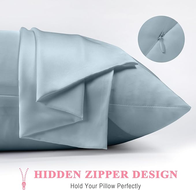 100% Pure Silk Pillowcase 2 Pack for Hair and Skin, Both Sides 23 Momme Grade 6A+ Mulberry Silk Pillowcases with Hidden Zipper, Soft&Smooth Cooling Pillow Cases (Ash Blue, King 20x36)