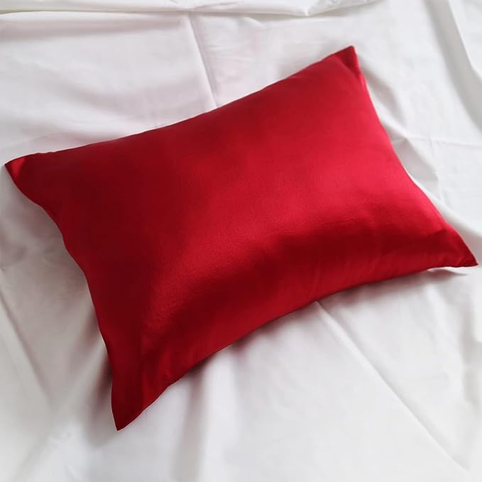 Red Silk Pillow Cases for Hair and Skin Made in USA, 22 Momme, Anti Acne Silk Pillowcase with Zipper, Organic, Hypoallergenic, Anti Wrinkle, 1 Pc 20"x26" (Standard, Red)