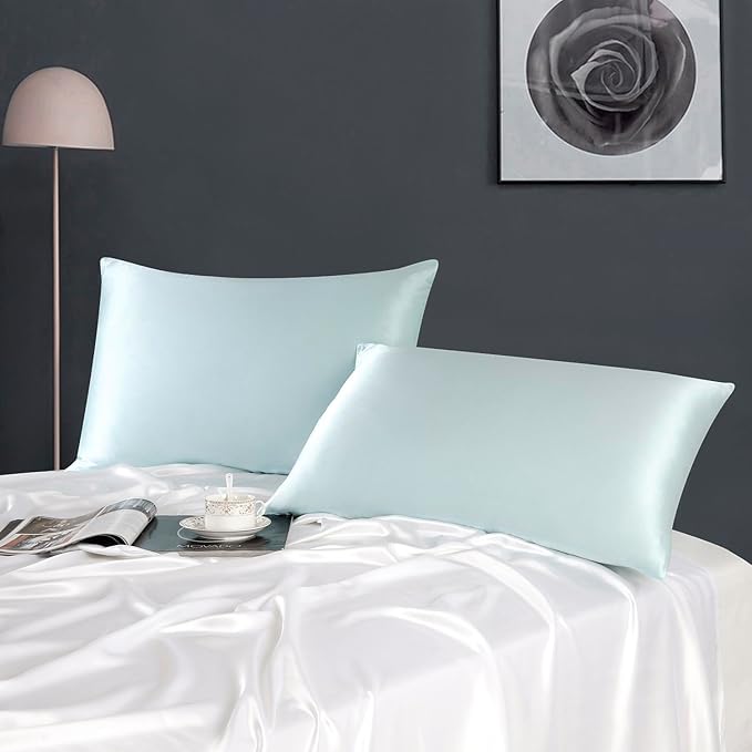 ZIMASILK 100% Pure Mulberry Silk Pillowcase for Hair and Skin Health,Soft and Smooth,Both Sides Premium Grade 6A Silk,600 Thread Count,with Hidden Zipper,1pc (King 20''x36'', Powder Blue)