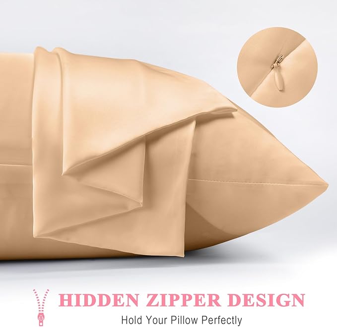 100% Pure Silk Pillowcase 2 Pack for Hair and Skin, Both Sides 23 Momme Grade 6A+ Mulberry Silk Pillowcases with Hidden Zipper, Soft&Smooth Cooling Pillow Cases (Champagne, Queen 20x30)