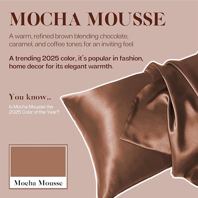 MR&HM Satin Pillowcase for Hair and Skin, Silk Satin Pillowcase 2 Pack, Queen Size Pillow Cases Set of 2, Silky Pillow Cover with Envelope Closure (20x30, Mocha Mousse)
