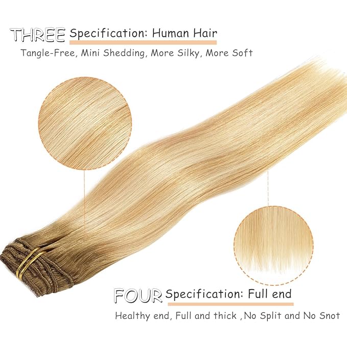 Caliee 22 Inch Hair Extensions Clip in Human Hair R8-12/60A Light Brown to Light Golden Blonde Mixed Platinum Blonde Seamless Clip in Hair Extensions Real Human Hair Thick Ends Soft Straight 140 G