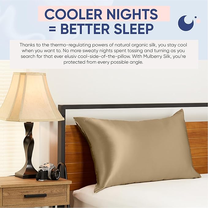 Blissy Silk Pillowcase - 100% Pure Mulberry Silk - 22 Momme 6A High-Grade Fibers - Silk Pillow Cover for Hair & Skin - Regular, Queen & King (Taupe, Queen)