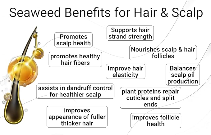 Leave-In Conditioner, 8.5 fl. Oz/250ml - Seaweed, Kelp & Algae Enriched Detangle & Shine Hair Treatment -Ideal For Frizzy and All Hair Type , Protects Scalp