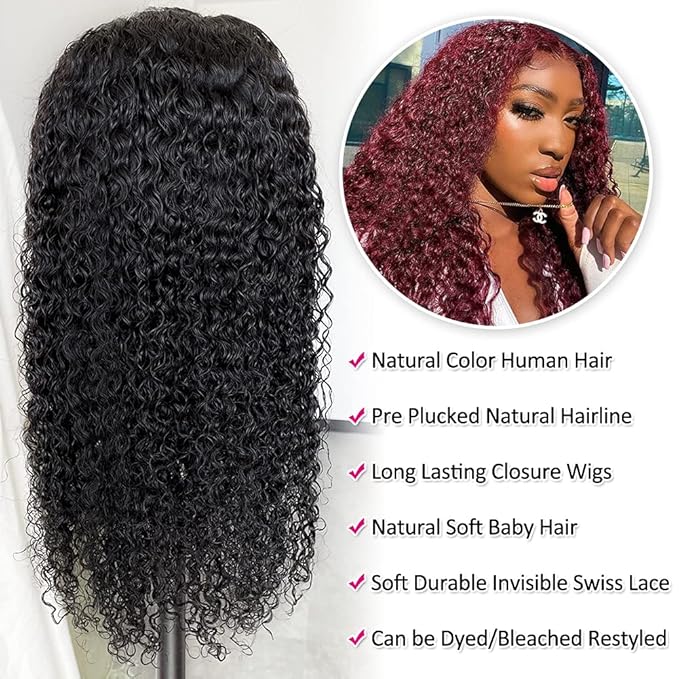 Eooma 4x4 HD Transparent Lace Front Wigs Human Hair with Baby Hair 150% Density 22 Inch Brazilian Curly Lace Closure Human Hair Wigs for Black Women Natural Black Color