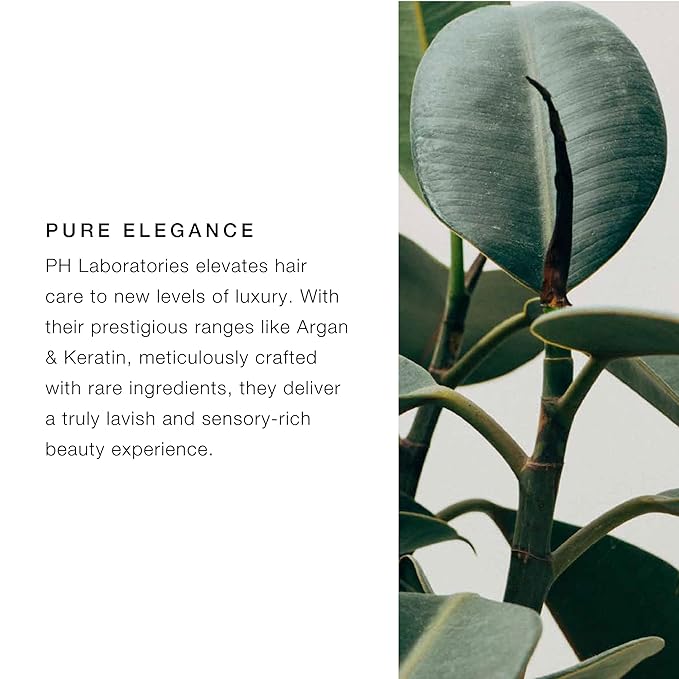 pH PURE HAIR Deep Moisture Conditioner - Intense Hydration for Dry, Damaged Hair - Deep Conditioning Treatment with Kokum Nut Butter & Rose Extract for Frizz-Free, Soft, Smooth Hair - 8.45 Oz