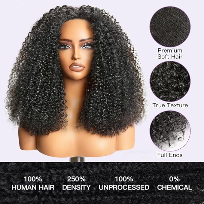 Ali Grace Kinky Curly Half Wig Human Hair 250% Density 3 In 1 Drawstring Seamless Flip Over Half Wigs For Women Glueless Wigs Beginner Friendly Half Curly Human Hair Wig 22 Inch (Black, 22inch)