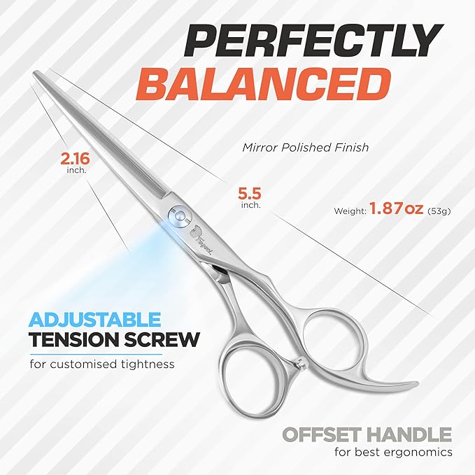 Professional Hair Scissors 5.5 Inch with Extremely Sharp Blades, 440C Steel Hair Cutting Scissors, Durable, Smooth Motion & Fine Cut, Barber Scissors with Elegant Sheath, Cleaning Leather & Key