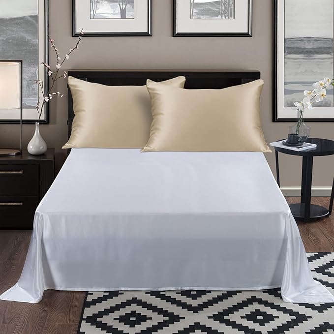 ALASKA BEAR Natural Silk Pillowcase, Hypoallergenic, 19 Momme, 600 Thread Count 100 Percent Mulberry Silk, Queen Size with Hidden Zipper (1,Champagne Gold)