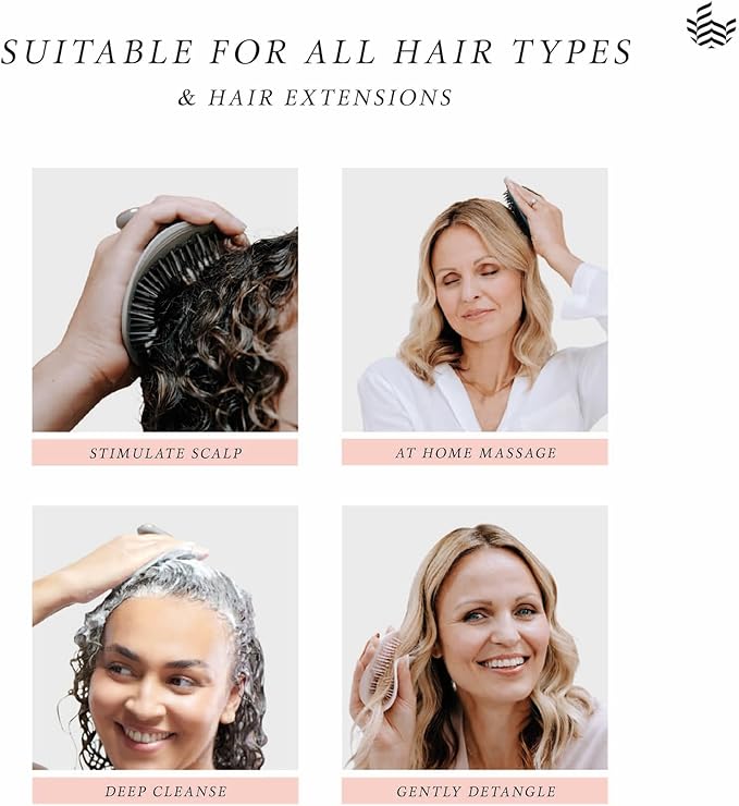 MANTA Pulse Electric Scalp Massage Brush – Wet Exfoliating Scalp Massager, Shampoo Brush for Hair Growth with Shower Holder, Grey