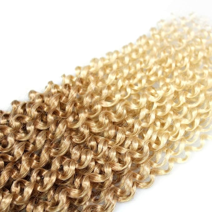 Dorsanee Ombre Blonde Passion Twist Hair 18 Inch 7 Packs Water Wave Crochet Hair Long Bohemian Curly Braiding Hair for Butterfly Locs, Faux Locs, Boho Style Spring Twist Crochet Braids (27/613#)