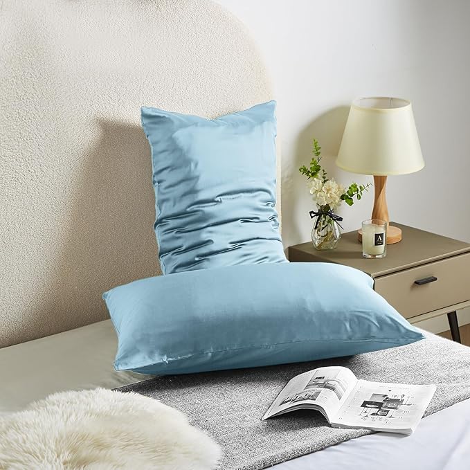 Silk Pillowcase for Hair and Skin Mulberry Silk Pillowcase Soft Breathable Smooth Both Sided Natural Silk Pillowcase with Zipper Beauty Sleep Silk Pillow Case 1 Pack for Gift(Queen,Baby Blue)