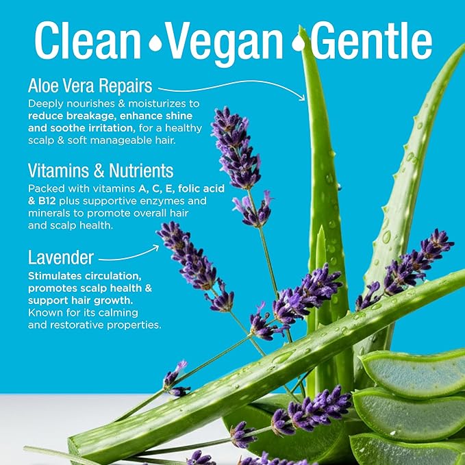 Rehydrating Mist & Hair Detangler Spray – Natural Leave In Conditioner Spray with Aloe Vera & Lavender for Dry, Curly, Coily, Matted or Damaged Hair for Women, Men & Kids – Vegan – 8 fl oz