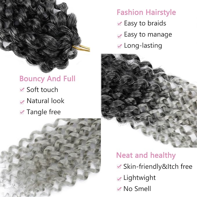 Passion Twist 24 Inch 8 Packs Crochet Hair Braiding Long Bohemian Spring Twist Hair Synthetic Hair Extension (24 Inch, 1B/Silver)