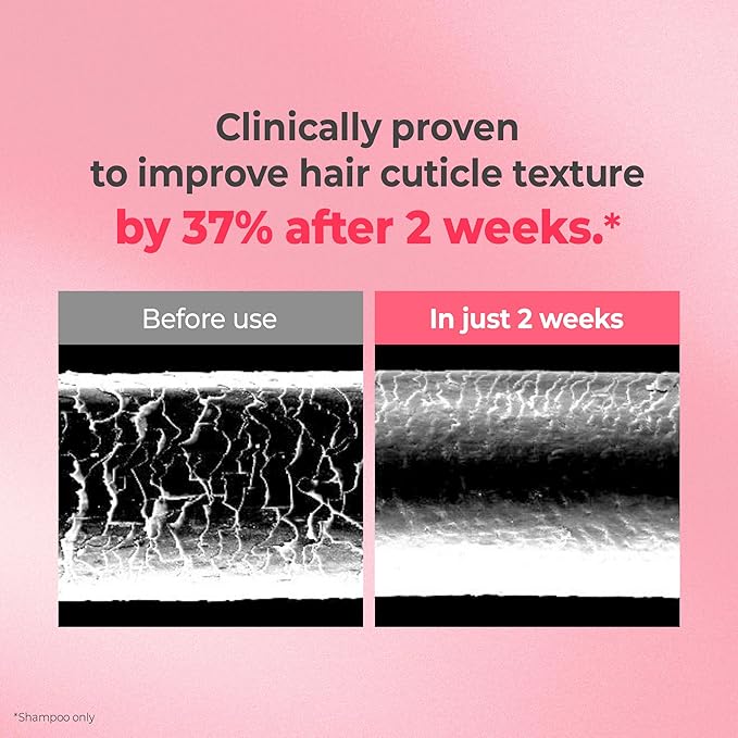 KUNDAL Protein Bonding Shampoo and Conditioner Set [Violet Muguet] - Korean Hair Care, Damage Repair, Frizz Control, Heat Protection, 16.9fl oz/ 6.76fl oz (Pack of 2), Stocking Stuffers