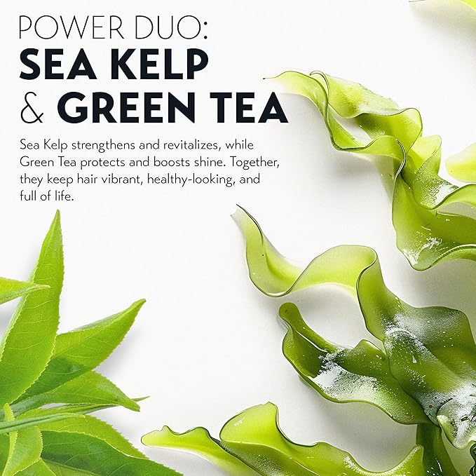 OYA CLARITY Clarifying Shampoo - Sulfate Free Deep Cleanser for Oily Hair & Scalp - Gentle Anti-Residue Shampoo with Amino Acids, Sea Kelp & Green Tea Essentials for Curly, Color Treated Hair - 300ml